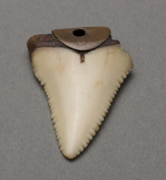 Tlingit%20artist%2C%20%3Cb%3E%3Ci%3E%20Earrings%3C%2Fi%3E%3C%2Fb%3E%2C%20ca.%201900%2C%20shark%20teeth%20and%20copper%2C%20Museum%20Purchase%3A%20Indian%20Collection%20Subscription%20Fund%2C%20Rasmussen%20Collection%20of%20Northwest%20Coast%20Indian%20Art%2C%20no%20known%20copyright%20restrictions%2C%2048.3.803A%2CB